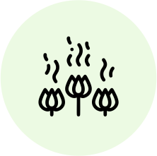 logo-bioactivity