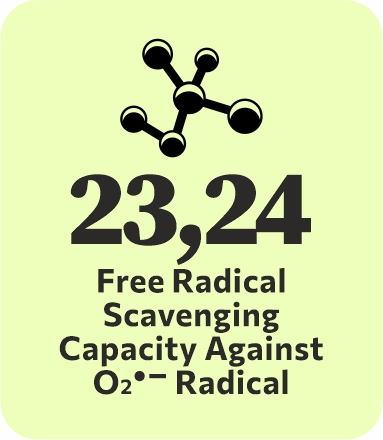 logo-bioactivity