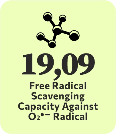 logo-bioactivity