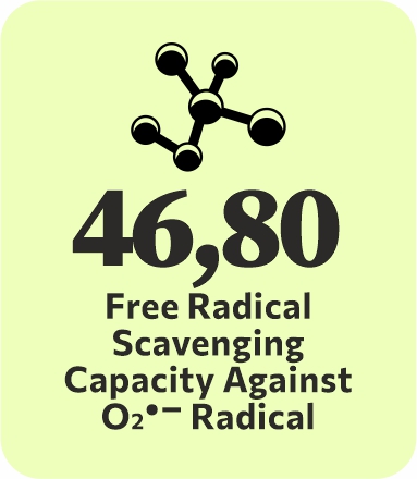 logo-bioactivity