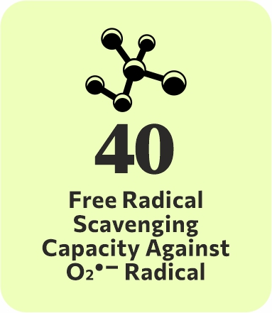 logo-bioactivity