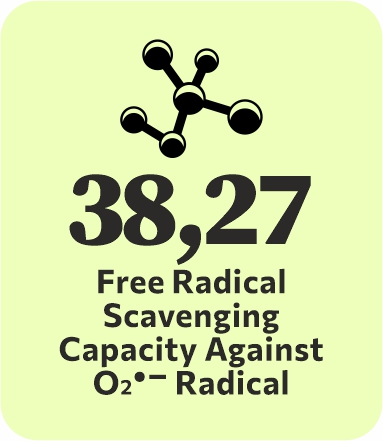 logo-bioactivity