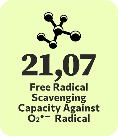 logo-bioactivity