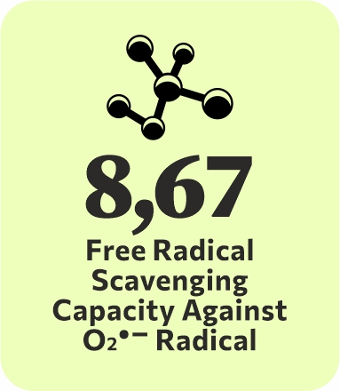 logo-bioactivity