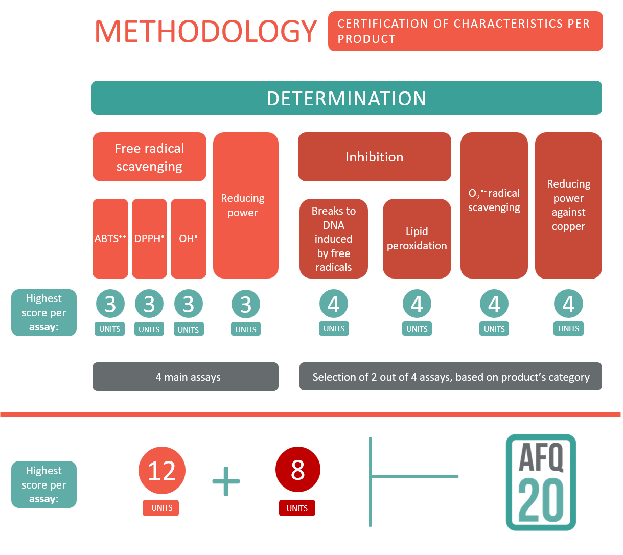 Methodology logo